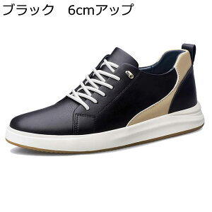 Xj[J[ JWAV[Y Y V[NbgV[Y Jbv C XP{[V[Y [XAbv ʋC ~ ʋC X|[c EH[LOV[Y