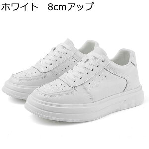 Xj[J[ JWAV[Y Y V[NbgV[Y wȂC C XP{[V[Y [XAbv h ʋC Ȃ ₷ X|[c I[V[Y