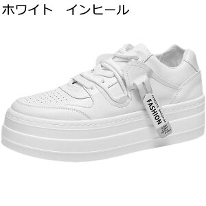 Xj[J[ JWAV[Y Y C 傫TCY XP[g{[hV[Y [XAbv ~ ʋC wȂC V[NbgV[Y X|[c AEghA