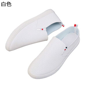 hCrOV[Y bV [t@[ ؂ JV Xb| amC Y jC lGʗp y ʋΒʊw  Vv ^]C JWAV[Y ubN zCg