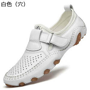 [t@[ {v U[ Xb| Y hCrOV[Y bV }WbNe[v JWAV[Y t ؂ JV t@bV 傫TCY Vv ʋ ʊw 