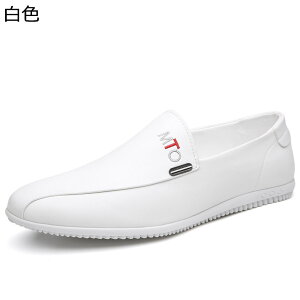 ؂ JV Y jC Xb| [t@[ amC hCrOV[Y EH[LOV[Y JWA tďH~ tH[} t@bV Vv h h ^] ʊw 