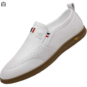 [t@[ {v Xb| Y rWlXV[Y JV TChSA hCrOV[Y bV U[ JWA ₷ tH[} t@bV ʋΗp  ʊw 