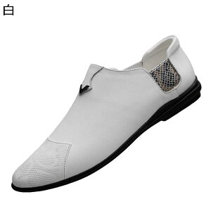 Y rWlXV[Y Xb| [t@[ bV {v U[ 傫TCY tďH~ ʋΒʊw  Vv n ʋC RtH[g ₷    ʋΗp