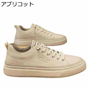 Xj[J[ XP[g{[hV[Y Y JWAV[Y  {v [XAbv ؍  EH[LOV[Y y ₷ ~ ʋC K X|[c