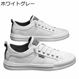 JWAV[Y Xj[J[ Y XP[g{[hV[Y vC [XAbv ؍   y ₷ ~ ʋC K X|[c EH[LOV[Y