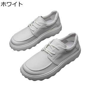 Xj[J[ JWAV[Y Y wȂC [XAbv vC amC y jq ₷ tH h ʋC K AEghA ʋ EH[LOV[Y