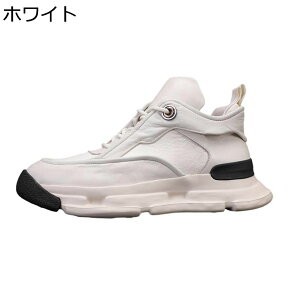 Xj[J[ JWAV[Y Y C wȂC ؍  pb`[N nCJbg JWAu[c [XAbv y j {v h ʋC AEghA