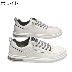 Xj[J[ Y JWAV[Y XP[g{[hV[Y [XAbv ؍   EH[LOV[Y y ₷ ~ ʋC K X|[c