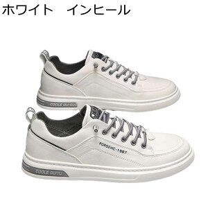 Xj[J[ Y JWAV[Y XP[g{[hV[Y [XAbv ؍   EH[LOV[Y y ₷ ~ ʋC K X|[c