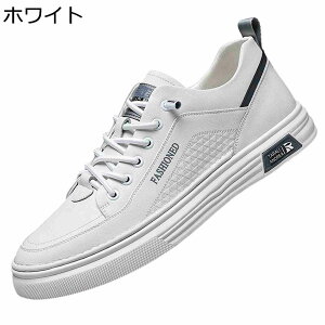 Xj[J[ Y JWAV[Y EH[LOV[Y vC XP[g{[hV[Y ؍  ~ C y ₷ tH h X|[c 