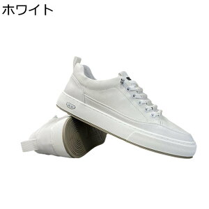 JWAV[Y Xj[J[ XP[g{[hV[Y Y  {v [XAbv EH[LOV[Y y ₷ ~ ʋC K X|[c AEghA