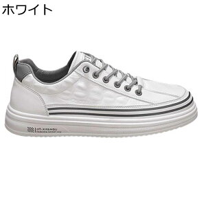 Xj[J[ JWAV[Y Y XP[g{[hV[Y [XAbv ؍  Xg[g C y j ₷ tH h ʋC K X|[c 