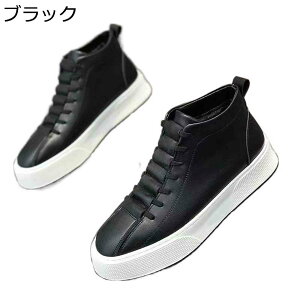 Xj[J[ Y JWAV[Y XP[g{[hu[c [XAbv C h ؍  jp y ~ ʋC K ₷ X|[c tH