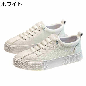 JWAV[Y XP[g{[hV[Y Y Xj[J[ Xb| R 傫TCY EH[LOV[Y X|[c ʋC y h Ȃ  wȂC