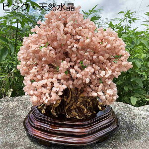  ̂Ȃ  Vg u CeA u J^ObY t W߂ ɐF ɐ ^F J^ p[Xg[  VN 蕨 CeA  