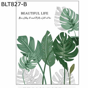 ډBV[ KXV[g p uvJbg fM ptB Ռ \Ă͂ œ\ \蒼\  ΍ V Vzj C rO[ x_ ݓKp