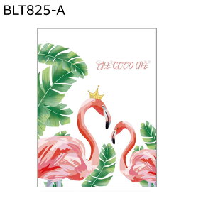 fMV[g ptB A ډB KXV[ ͂ œ\ 悯 uvJbg ΍ O猩Ȃ KX  rO x_ ړ]j V CeA 