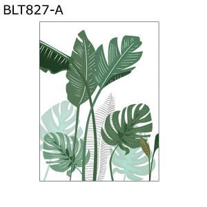 fMV[g ptB A ډB KXV[ ͂ œ\ 悯 uvJbg ΍ O猩Ȃ KX  rO x_ ړ]j V CeA 