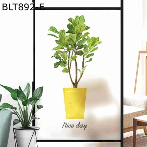 fMV[g tB A ΐF KXV[ ͂ œ\ ډB Ռ uvJbg KXV[g ړ]j V CeA  pډBtB ݓKp ItBX