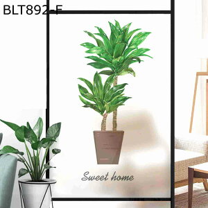 fMV[g tB A ΐF KXV[ ͂ œ\ ډB Ռ uvJbg KXV[g ړ]j V CeA  pډBtB ݓKp ItBX