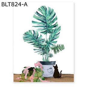 ptB fMV[g A KXV[ ͂ œ\ ߂V[g Ռ O΍ KX CeA  x_ xbh[ Lb` C pډBt