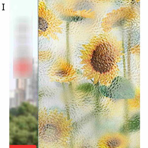 fMV[g tB O猩Ȃ KX  œ\ ډBV[g ΍ Ռ OJbg KXV[g Q C CeA  pډBtBV