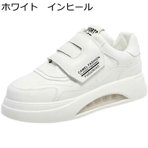 Xj[J[ Y JWAV[Y V[NbgV[Y wȂC y NbV ~ Ȃ K C ₷ I[V[Y