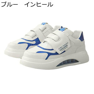 Xj[J[ Y JWAV[Y V[NbgV[Y wȂC y NbV ~ Ȃ K C ₷ I[V[Y