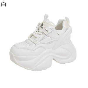 C Xj[J[ fB[X jOV[Y 6cmq[ gAbv [XAbv EH[LOV[Y [hn ɂ y _ ɂ C ig ˊO JWA