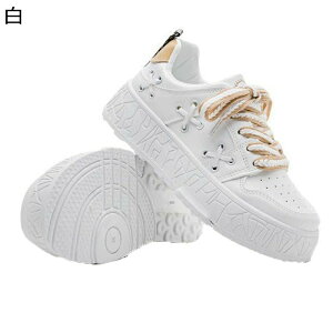 fB[XV[Y JWAV[Y  [XAbv \ ɂ ϖ  Ռɘa ʋC fbLV[Y _ gbLO g[jO JWA  AEghA