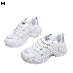 Xj[J[ fB[X C ^C EH[LOV[Y jOV[Y JWA X|[cV[Y [XAbv g[jO ɂ y RtH[g ʋΒʊw t@b