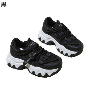 fB[X C Xj[J[ EH[LOV[Y ^C X|[cV[Y RtH[g Ȃ y g[jO X|[c AEghA ϖ WMOV[Y C lG ʋ 