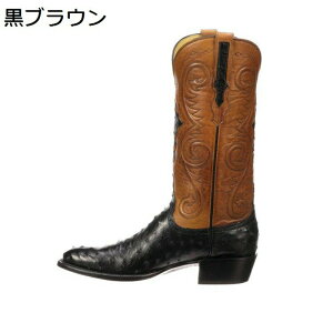 Ou[c C Ђ WbL[u[c Y _`E ؂ւ уu[c  Vv r _炩 tBbg  tH~ hh 傫TCY n oCNp p[eB X