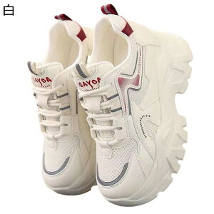 C Xj[J[ fB[X jOV[Y [XAbv ^C 6cmq[ gAbv [hn ~ ϖ y ₷ _炩 C O ʋ ̓ JWA