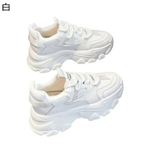 Xj[J[ fB[X C ^C EH[LOV[Y jOV[Y JWAXj[J[ ʋC ɂ Oo gbLO ~ y 炩 U o| 