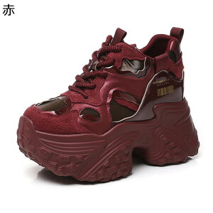 10cmXj[J[ fB[X ^C r gAbv X|[cV[Y g[jO EH[LO gbLO y RtH[g 芴 C h s o|  lGKp