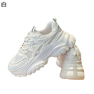 Xj[J[ fB[X C ^C EH[LOV[Y jOV[Y JWAXj[J[ X|[cV[Y C y` ɂ y RtH[g U o| IV