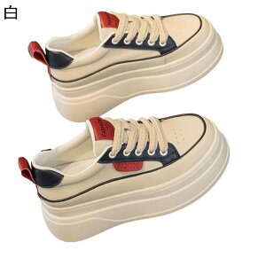  fB[XV[Y {A g r Ȃ X|[cV[Y [XAbv ϋv 芴  RtH[g gbLO ^ g[jO JWA s o ˊO