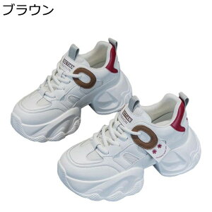 C Xj[J[ fB[X jOV[Y [XAbv EH[LOV[Y 6cmq[ gAbv gh ɂ ϋv 芴 y ɂ C ʋ ʊw JWA