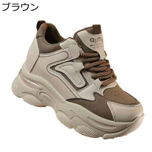 C Xj[J[ fB[X jOV[Y JWAV[Y ^C 5cmq[ gAbv  Ȃ ϋv y ₷ _炩 [XAbv  C ʋΒʊw