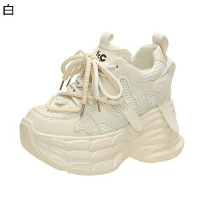 fB[X 10cmC Xj[J[ EH[LOV[Y ^C X|[cV[Y RtH[g Ȃ y g[jO AEghA 芴 C Ng gx AEghA