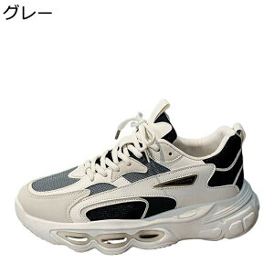 Xj[J[ Y X|[cV[Y ^C JWAV[Y jO WMO gbLO [XAbvV[Y y _  Vv t@bV ʋC ~ lG