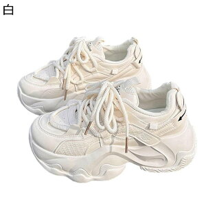  fB[XXj[J[ X|[cV[Y r ~ Eɂ ₷ ϖ C  _炩 [XAbv gbLO ^ g[jO JWA U  