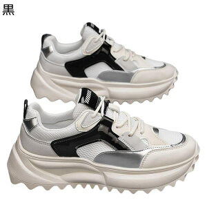 Xj[J[ Y fB[X X|[cV[Y ^C JWAV[Y jO WMO gbLO y RtH[g 芴 JWA IV C mXbv t