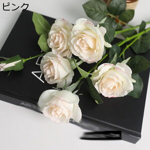 sIj[  ͂Ȃ   t[ ԑ CeA 6{ A[gt[ VN j a ̓ sN tFCNt[ Mtg ֏   X iX ֏ 