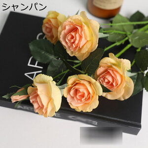 sIj[  ͂Ȃ   t[ ԑ CeA 6{ A[gt[ VN j a ̓ sN tFCNt[ Mtg ֏   X iX ֏ 