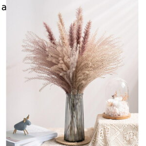  XXL  hCt[ u mfBbN  mfBbN ԕr N  v[       |GXe  O[ ̉Ԃ̉ԑ av[g ͂Ȃ L