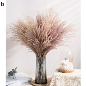  XXL  hCt[ u mfBbN  mfBbN ԕr N  v[       |GXe  O[ ̉Ԃ̉ԑ av[g ͂Ȃ L