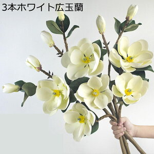  lHϗtA  Lʗ ͂Ȃ  lH CeA Z~bNԕrt    G u IuWF fUC  ԑZbg ̓ ̓ GKg 킢